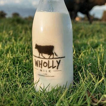 Wholly-Gelato