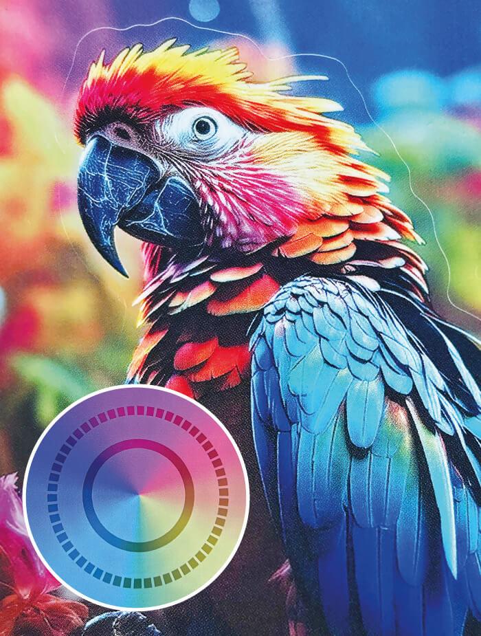 Transparent-PP-Film-50-μm-(PET- Glassine-Paper-Carrying-Material)