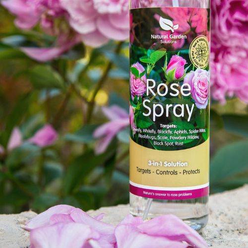 Embracing_Nature_Rose_Spray