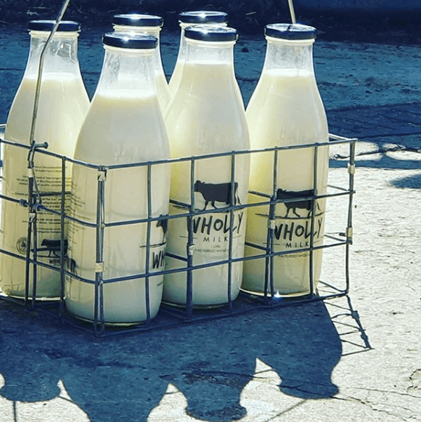 Milk-Bottles-in-Crate